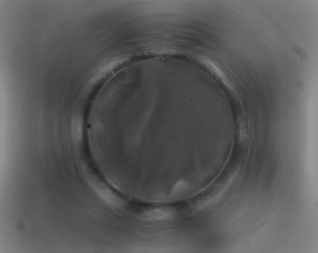 X0000114390447200910161257