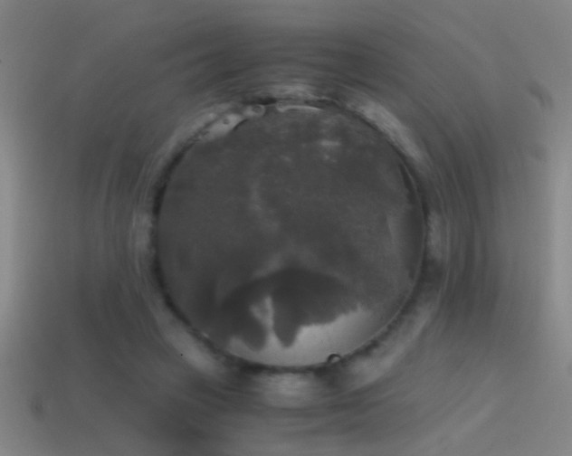 X0000114390449200910161257