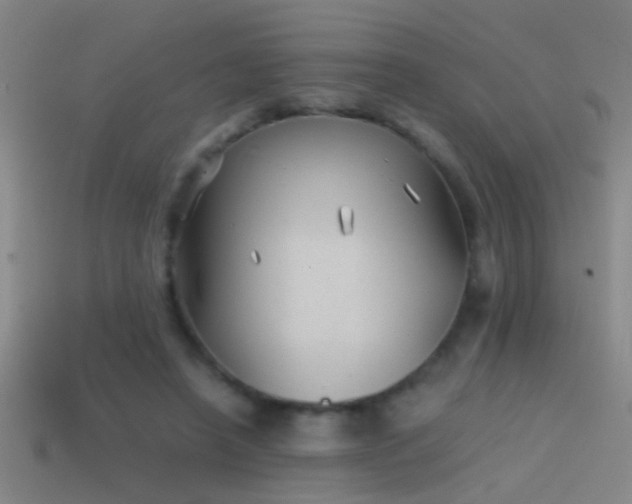X0000114390450200910161257
