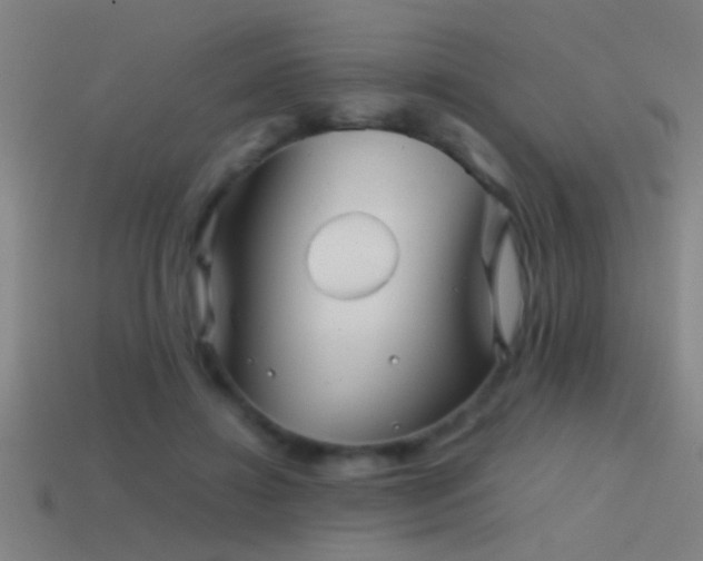 X0000114390452200910161257
