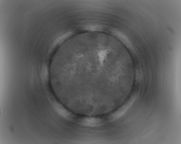 X0000114390453200910161257