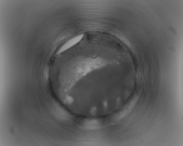 X0000114390454200910161257