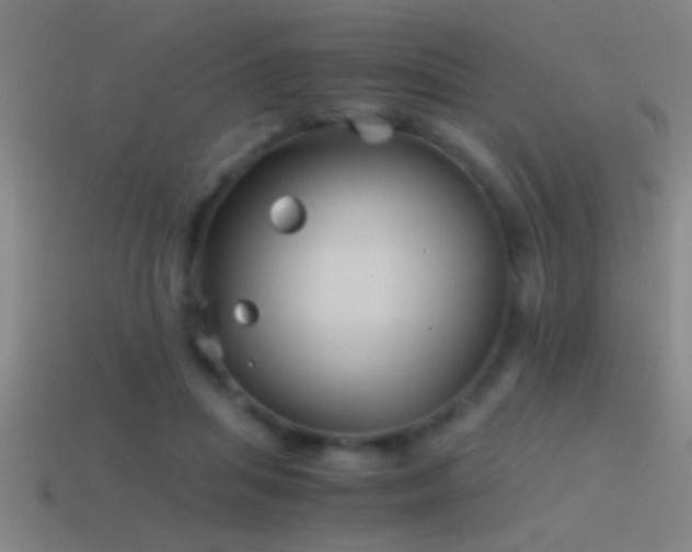 X0000114390455200910161257