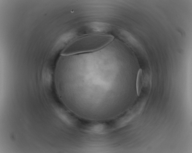 X0000114390456200910161257