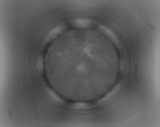 X0000114390457200910161257