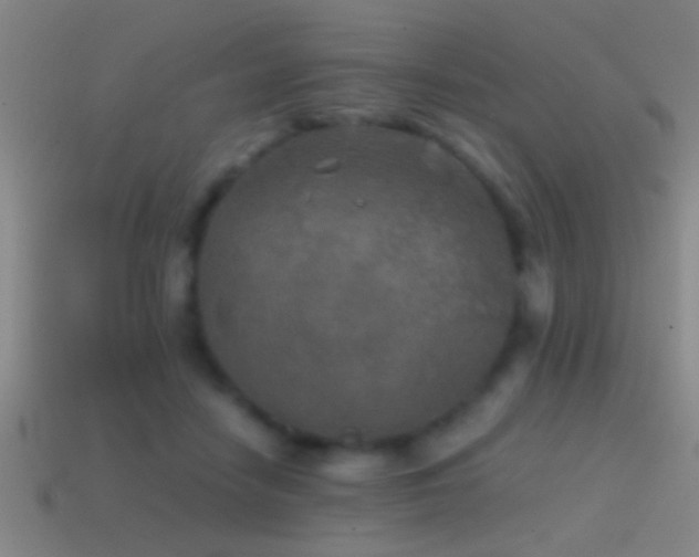 X0000114390458200910161257