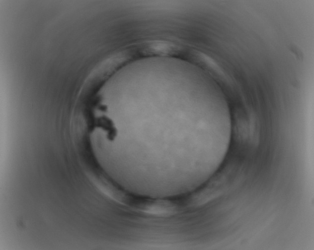 X0000114390459200910161257