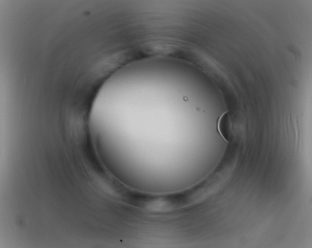 X0000114390460200910161257