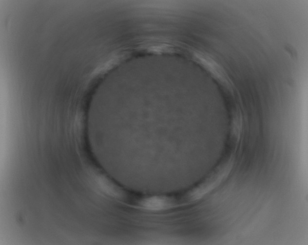 X0000114390461200910161257