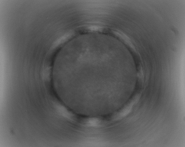 X0000114390462200910161257