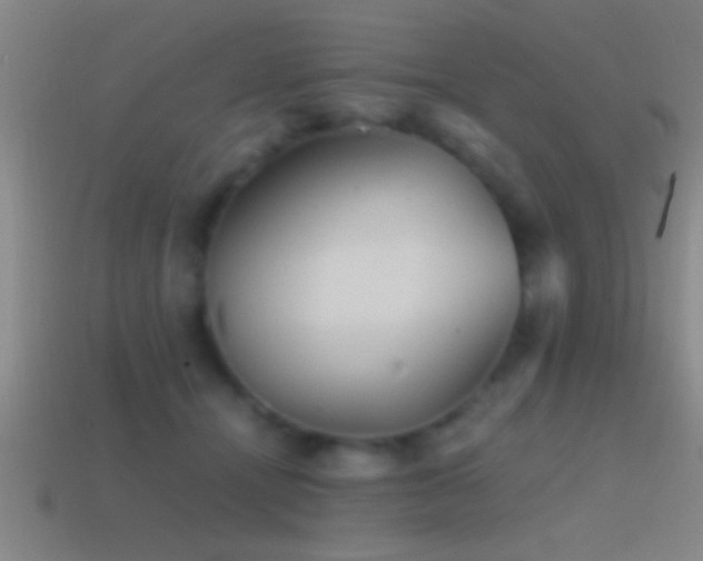 X0000114390464200910161257