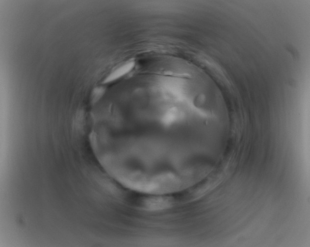 X0000114390465200910161257
