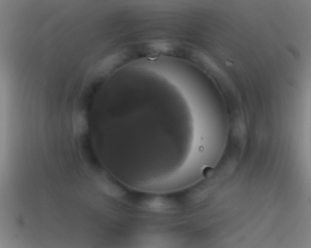 X0000114390467200910161257