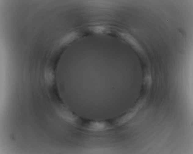 X0000114390469200910161257