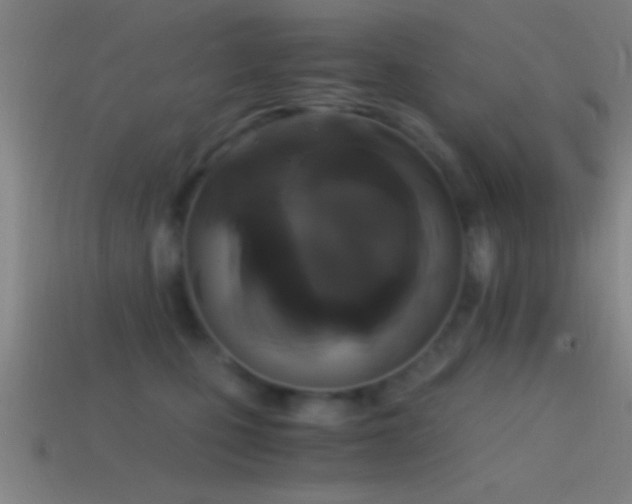 X0000114390471200910161258
