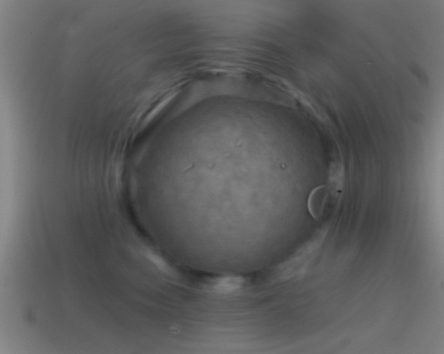 X0000114390474200910161258
