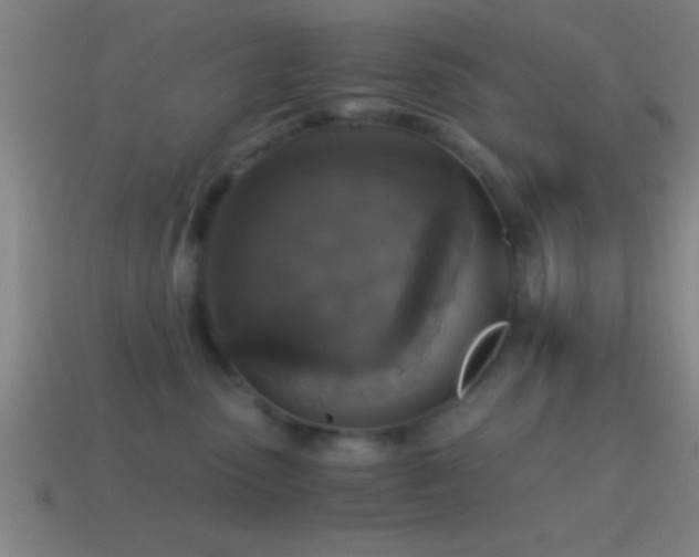 X0000114390475200910161258
