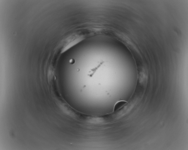 X0000114390476200910161258