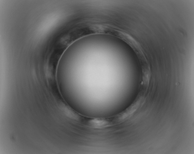 X0000114390477200910161258