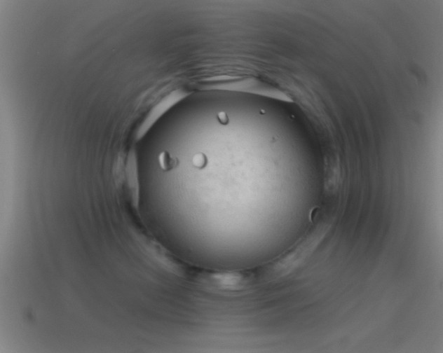 X0000114390478200910161258