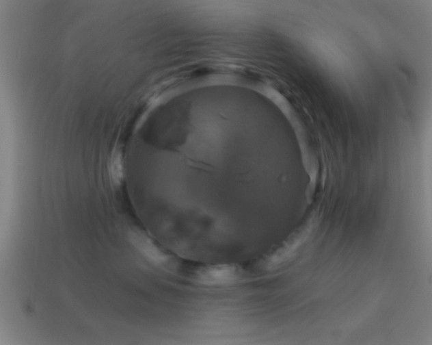X0000114390479200910161258