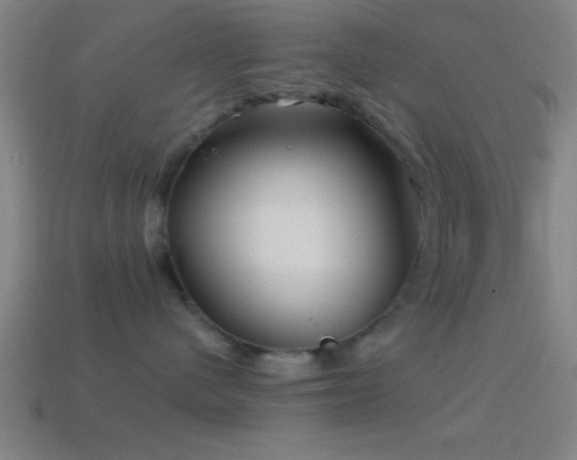 X0000114390480200910161258