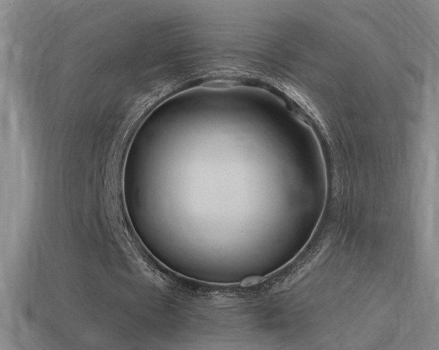 X0000114390481200910161257