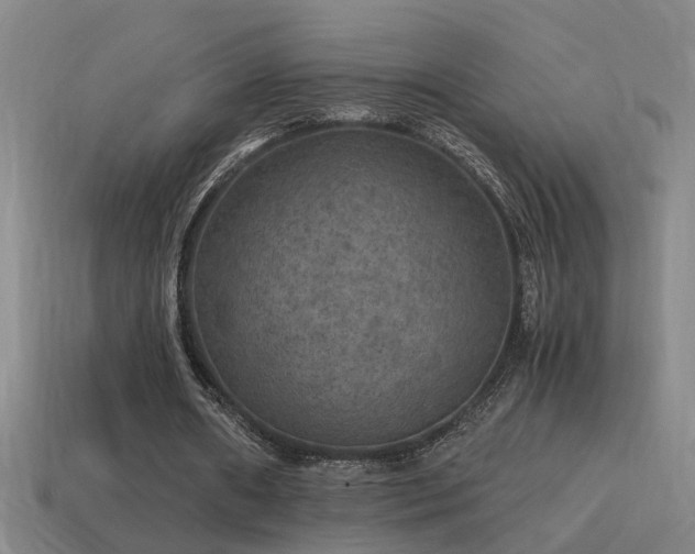 X0000114390482200910161257