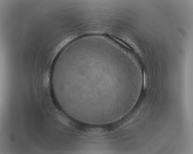 X0000114390483200910161257
