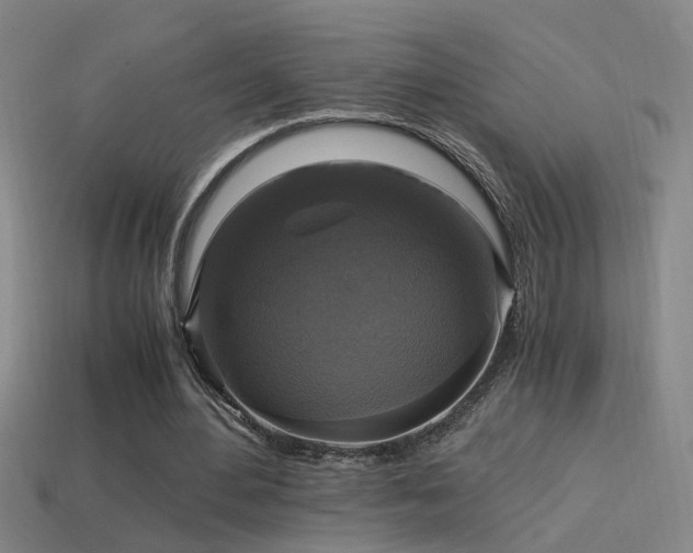 X0000114390484200910161257