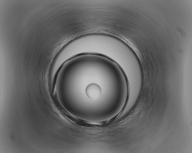 X0000114390485200910161257