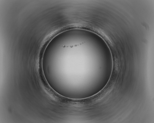 X0000114390486200910161257