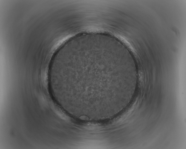 X0000114390487200910161257