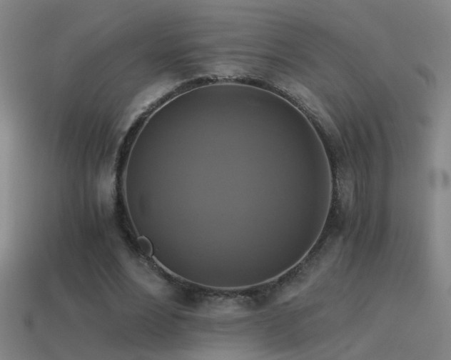 X0000114390488200910161257