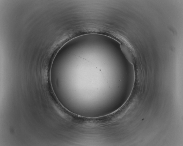 X0000114390489200910161257