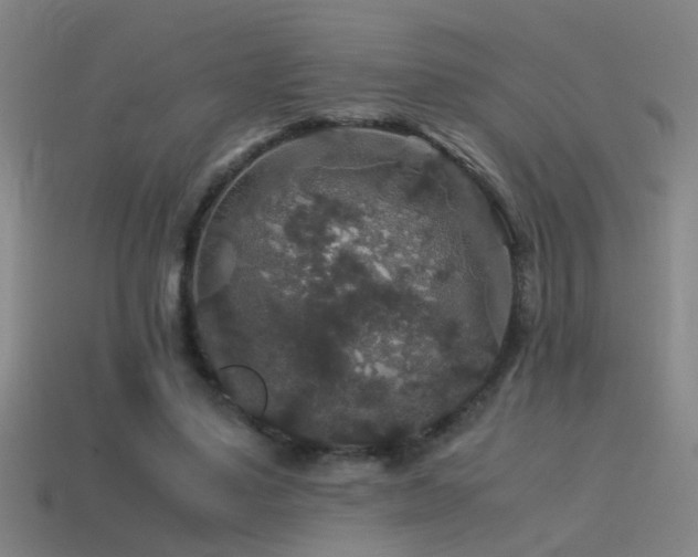 X0000114390491200910161257