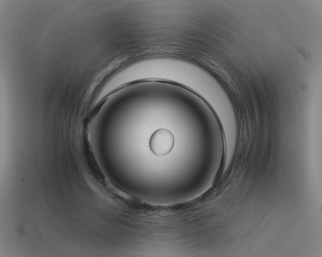 X0000114390492200910161257
