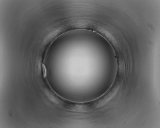 X0000114390493200910161257