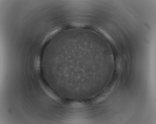 X0000114390494200910161257