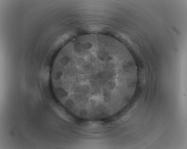 X0000114390495200910161257