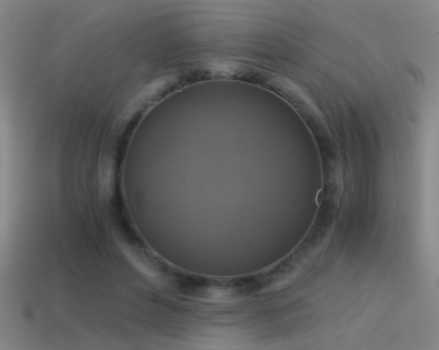 X0000114390496200910161257