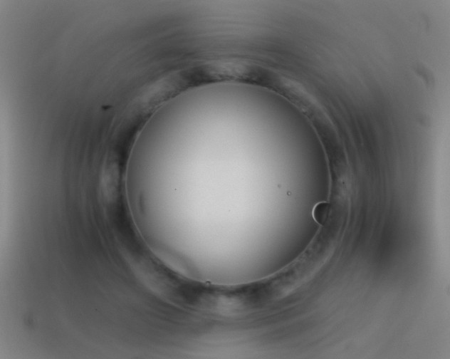 X0000114390498200910161257