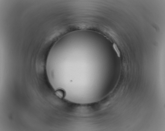 X0000114390499200910161257