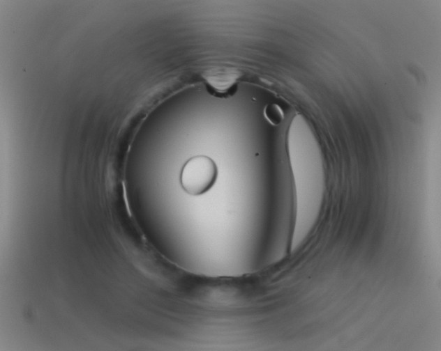 X0000114390500200910161257