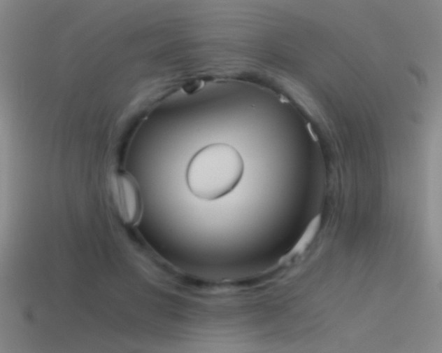 X0000114390501200910161257