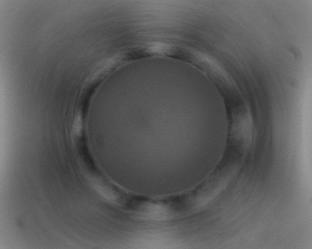 X0000114390502200910161257