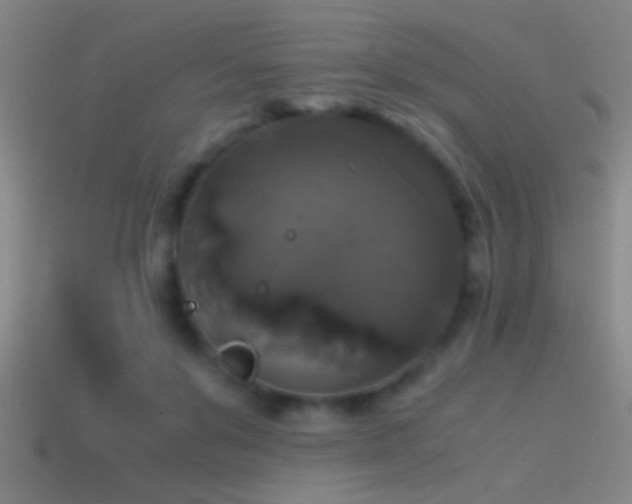 X0000114390503200910161257