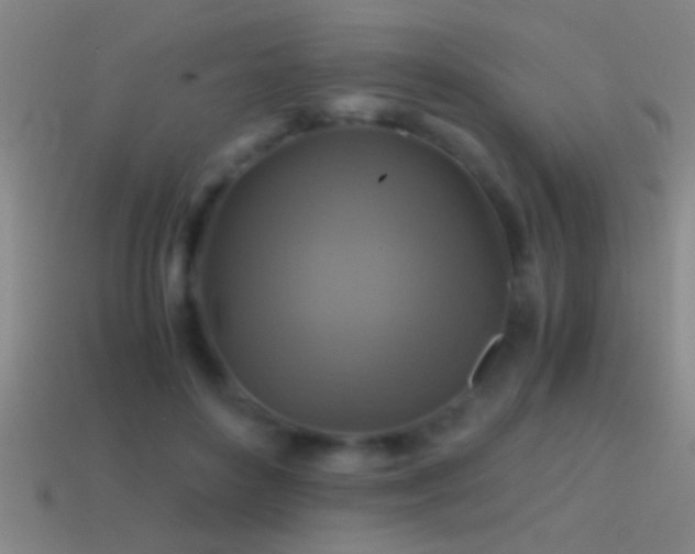 X0000114390504200910161257