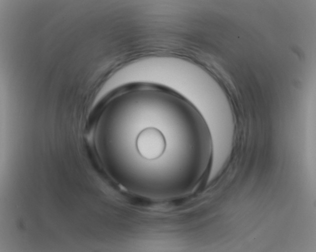 X0000114390505200910161257