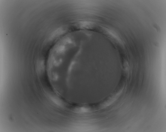 X0000114390506200910161257